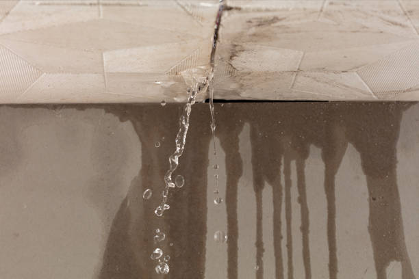 Professional Water Damage Repair technician working in Cotton Center, TX